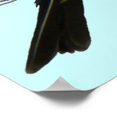 B45 Western Kingbird Poster (Ecke)