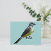 B45 Western Kingbird Postkarte (Stehend Vorderseite)