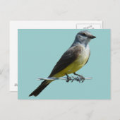 B45 Western Kingbird Postkarte (Vorne/Hinten)