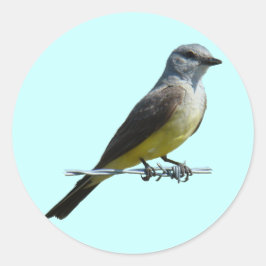 B45 Western Kingbird Runder Aufkleber