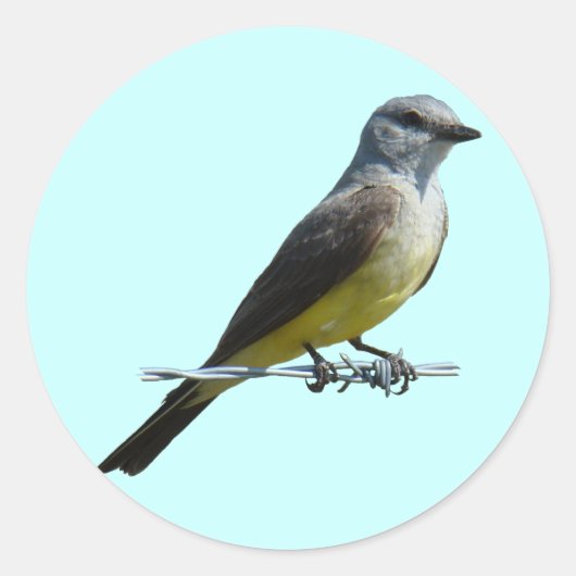 B45 Western Kingbird Runder Aufkleber (Vorderseite)
