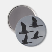 B46 Canadian Geese in Flight Magnet (Vorderseite/Rückseite)