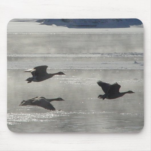 B47 Kanadagänse über gefrorenem Fluss Mousepad (Vorne)