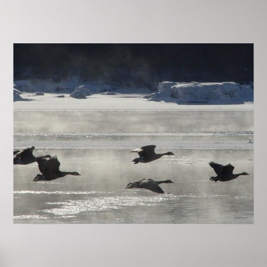 B47 Kanadische Gänse über Frozen Poster (Vorne)