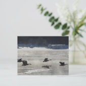 B47 Kanadische Gänse über Frozen Postkarte (Stehend Vorderseite)