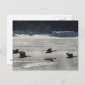 B47 Kanadische Gänse über Frozen Postkarte (Vorne/Hinten)