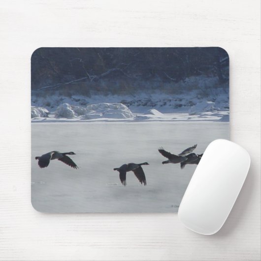 B48 Kanadische Gänse über Frozen Mousepad (Mit Mouse)