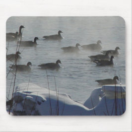 B49 Kanadische Gänse auf dem Frozen Mousepad