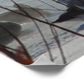 B49 Kanadische Gänse auf dem Frozen Poster (Ecke)
