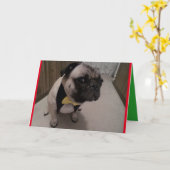 B4 Naughty List Karte (Gelbe Blume)