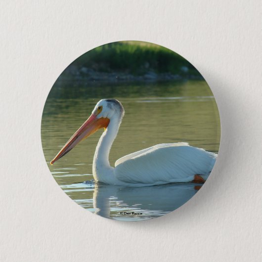B4 Weißer Pelikan Button (Vorderseite)