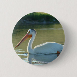 B4 Weißer Pelikan Button