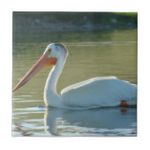 B4 White Pelican Fliese (Vorderseite)