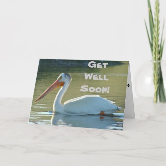 B4 White Pelican Karte (Vorderseite)