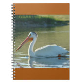 B4 White Pelican Notizblock (Vorderseite)