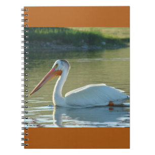 B4 White Pelican Notizblock