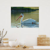 B4 White Pelican Poster (Küche)