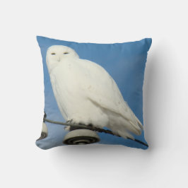 B50 Schneeauwl Kissen