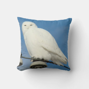 B50 Schneeauwl Kissen