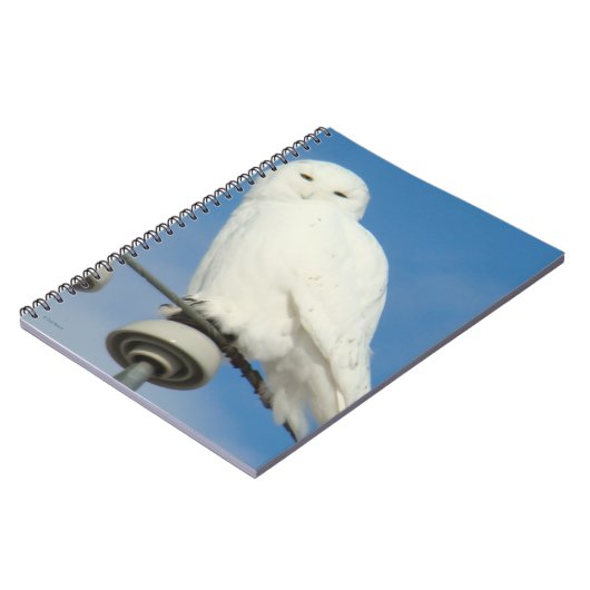 B50 Schneeauwl Notizblock (Linke Seite)