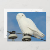 B50 Schneeauwl Postkarte (Vorne/Hinten)