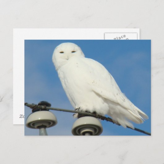 B50 Schneeauwl Postkarte (Vorne/Hinten)