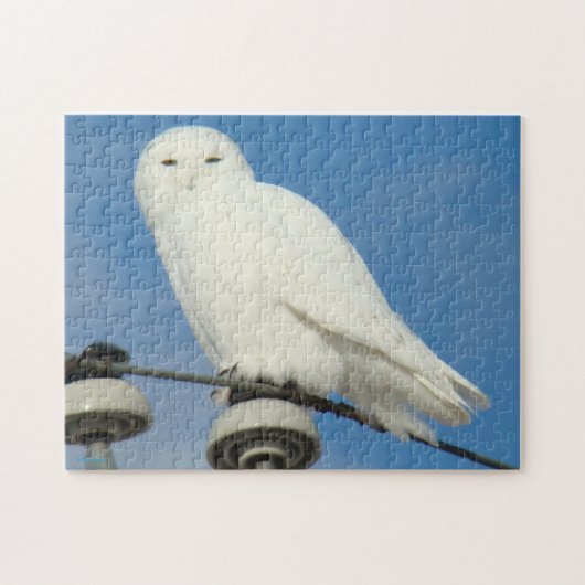 B50 Schneeauwl Puzzle (Horizontal)