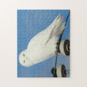 B50 Schneeauwl Puzzle (Vertikal)