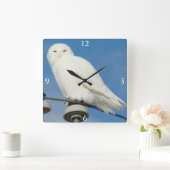 B50 Schneeauwl Quadratische Wanduhr (Zuhause)