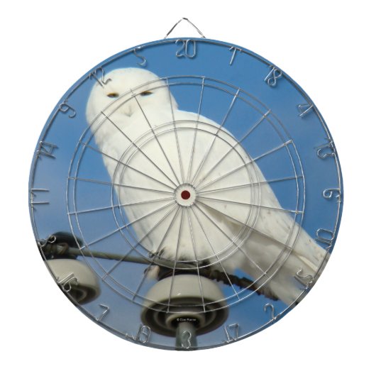 B50 Schneeeule Dartscheibe (vorne)