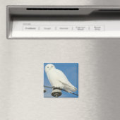 B50 Schneeeule Magnet (In Situ (Geschirrspüler))