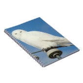 B50 Schneeeule Notizblock (Rechte Seite)