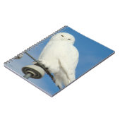 B50 Schneeeule Notizblock (Linke Seite)