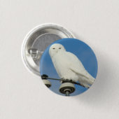 B50 Snowy Eule Button (Vorne & Hinten)