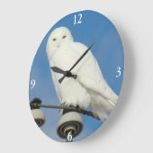 B50 Snowy Owl Große Wanduhr (Winkel)