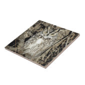 B51 Großes Hornhuhn Fliese (Seite)