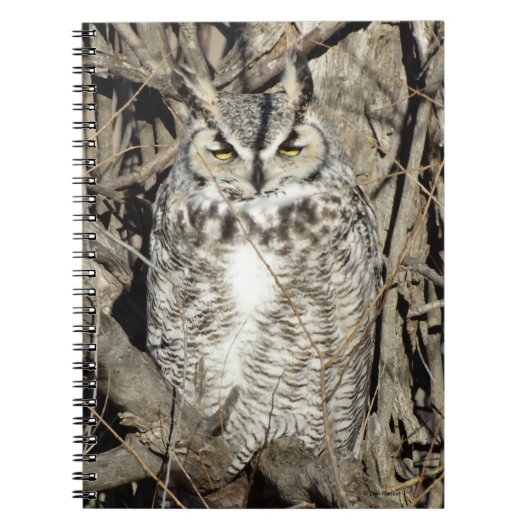 B51 Großes Hornhuhn Notizblock (Vorderseite)