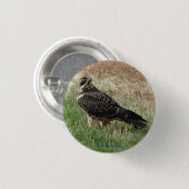 B52 Swainsons Bussard Button (Vorne & Hinten)