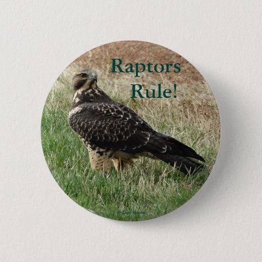 B52 Swainson's Hawk Button (Vorderseite)