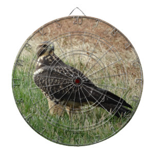 B52 Swainson's Hawk Dartscheibe
