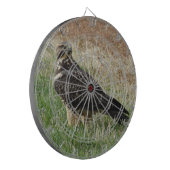 B52 Swainson's Hawk Dartscheibe (Vorderseite Links)