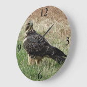 B52 Swainson's Hawk Große Wanduhr (Winkel)