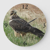 B52 Swainson's Hawk Große Wanduhr (Vorderseite)