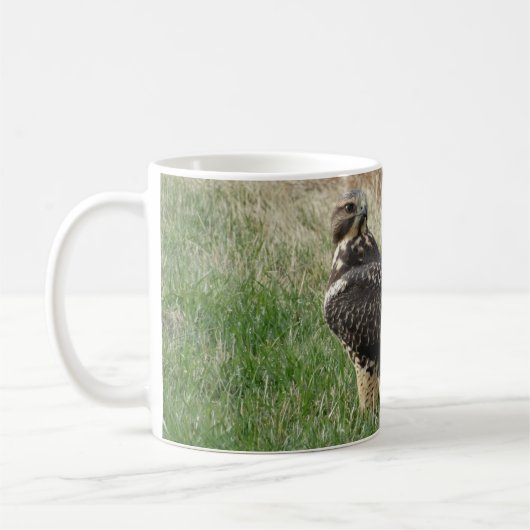 B52 Swainsons Hawk Kaffeetasse (Links)