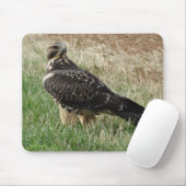 B52 Swainson's Hawk Mousepad (Mit Mouse)