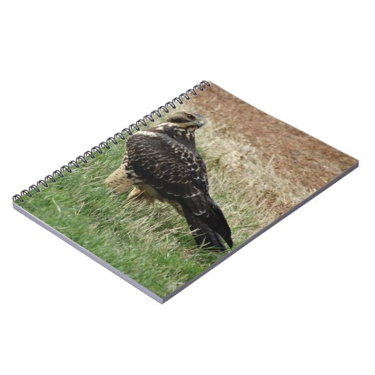 B52 Swainson's Hawk Notizblock (Linke Seite)