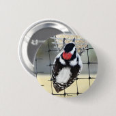 B53 Downy Woodpecker Button (Vorne & Hinten)