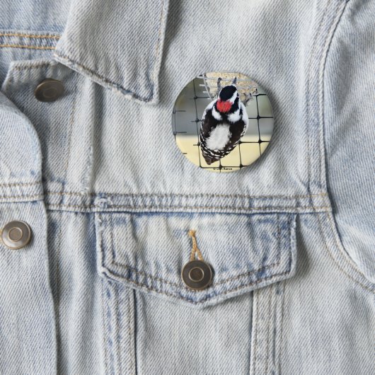 B53 Downy Woodpecker Button (Beispiel)
