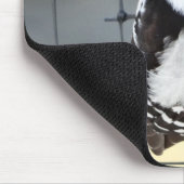 B53 Downy Woodpecker Mousepad (Ecke)