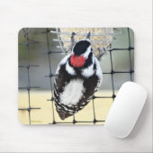 B53 Downy Woodpecker Mousepad (Mit Mouse)